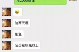 揭东债务清欠服务